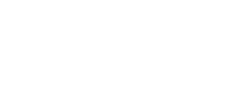 Diamond-City-Logo-white-e1699280440173